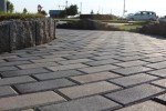 Pavele si Dale Standard - Dreptunghi D1