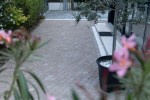 Pavele si Dale Premium - Antico P6