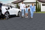 Pavele si Dale Premium Plus - Citadin D7