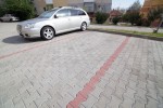 Pavele si Dale Standard - Dublu T T9