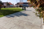 Piatra Cubica si Placi Andezit Albini - Placi Andezit Albini LL*/30/8 cm fiamate