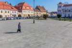 Piatra Cubica si Placi Andezit Albini - Placi Andezit Albini LL*/30/5 cm fiamate