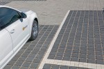 Pavele si Dale Standard - Patrat ECO