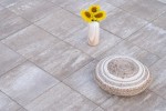 Pavele si Dale Premium - Rustic P4