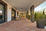 Pavele si Dale Premium - Cromatica P3