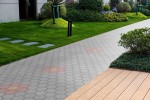 Pavele si Dale Standard - Floare 2