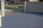 Pavele si Dale Standard - Frunza F4
