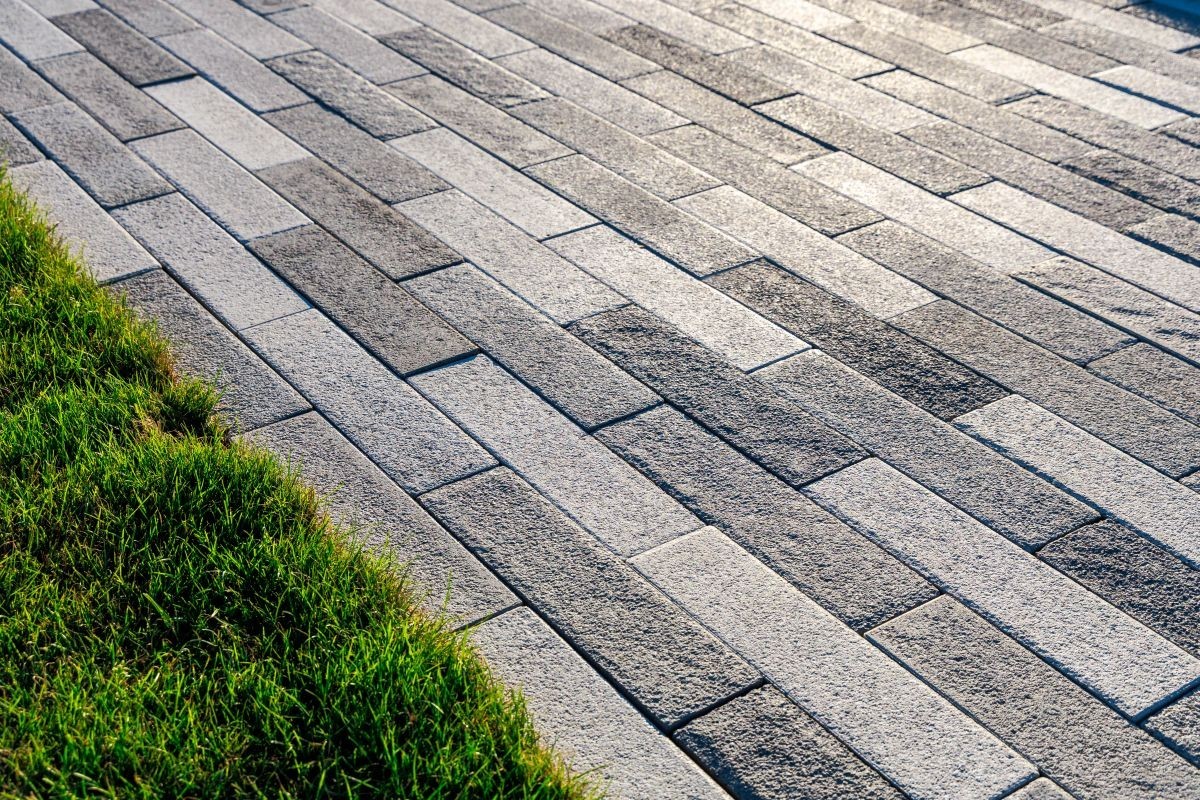 Pavele si Dale Premium Plus - Bocca D10