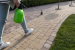 Pavele si Dale Premium - Maris Antico