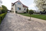 Pavele si Dale Premium - Antico P3