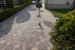 Pavele si Dale Premium - Antico P6