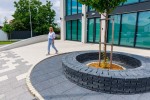 Produse pentru gradina - Gard din Element D6 Antico